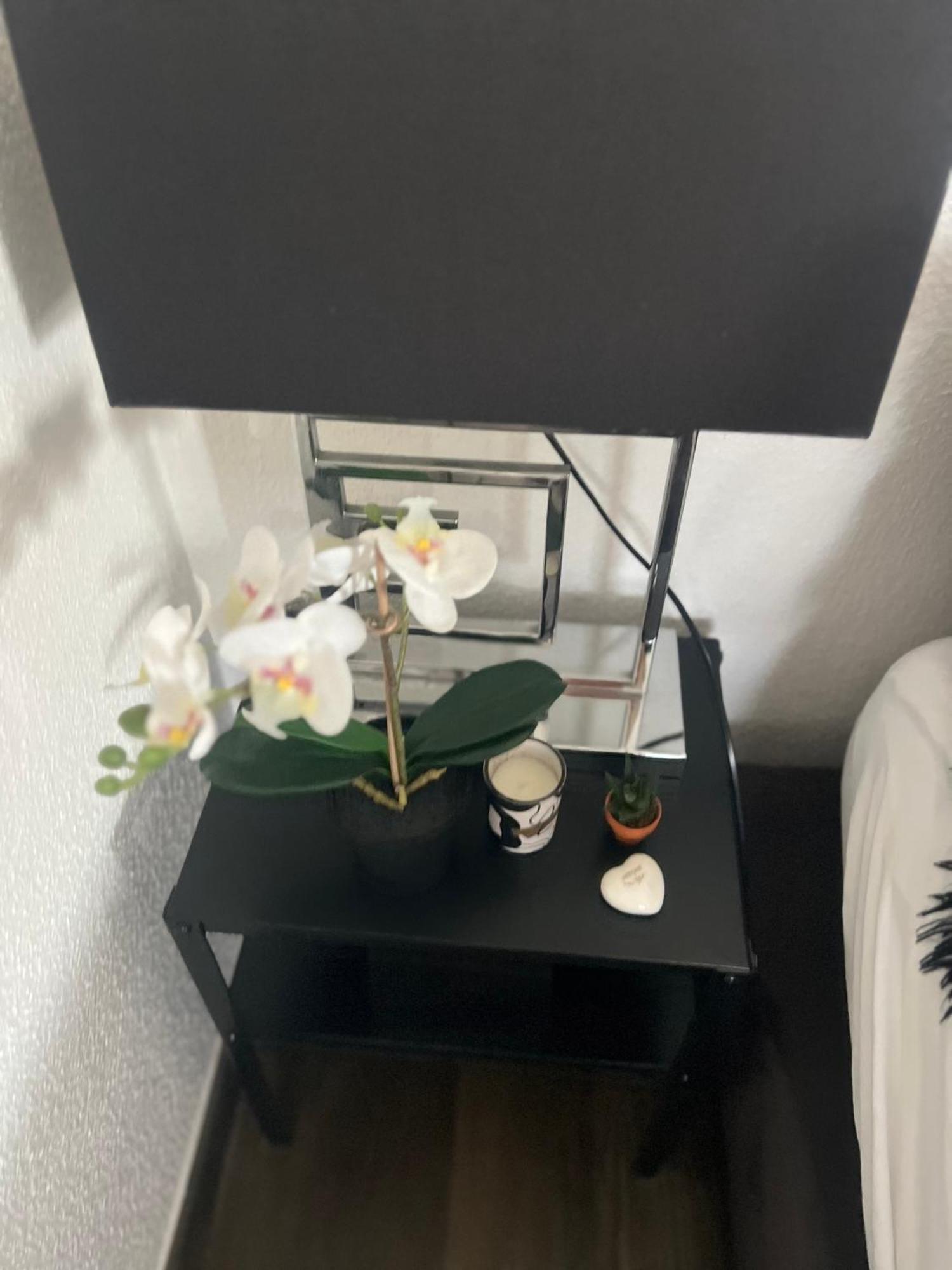 Studio Zurich Luaran gambar